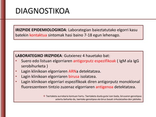 DIAGNOSTIKOA
IRIZPIDE EPIDEMIOLOGIKOA: Laborategian baieztatutako elgorri kasu
batekin kontaktua sintomak hasi baino 7-18 egun lehenago.
LABORATEGIKO IRIZPIDEA: Gutxienez 4 hauetako bat:
• Suero edo listuan elgorriaren antigorputz espezifikoak ( IgM ala IgG
serobihurketa )
• Lagin klinikoan elgorriaren ARNa detektatzea.
• Lagin klinikoan elgorriaren birusa isolatzea.
• Lagin klinikoan elgorriari espezifikoak diren antigorputz monoklonal
fluoreszenteen tintzio zuzenaz elgorriaren antigenoa detektatzea.
 Txertaketa aurrekaria kontuan hartu. Txertaketa duela gutxi izan bada, birusaren genotipoa
aztertu beharko da, txertoko genotipoa ala birus basati zirkulatzailea den jakiteko.
 