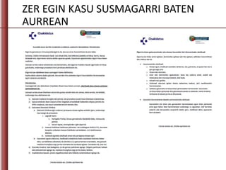 ZER EGIN KASU SUSMAGARRI BATEN
AURREAN
 