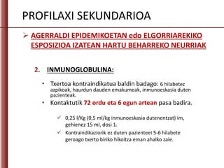  AGERRALDI EPIDEMIKOETAN edo ELGORRIAREKIKO
ESPOSIZIOA IZATEAN HARTU BEHARREKO NEURRIAK
2. INMUNOGLOBULINA:
• Txertoa kontraindikatua baldin badago: 6 hilabetez
azpikoak, haurdun dauden emakumeak, inmunoeskasia duten
pazienteak.
• Kontaktutik 72 ordu eta 6 egun artean pasa badira.
 0,25 l/Kg (0,5 ml/kg inmunoeskasia dutenentzat) im,
gehienez 15 ml, dosi 1.
 Kontraindikaziorik ez duten pazienteei 5-6 hilabete
geroago txerto biriko hikoitza eman ahalko zaie.
PROFILAXI SEKUNDARIOA
 