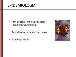 EPIDEMIOLOGIA
• RNA birusa, Morbilivirus generoa,
Paramyxoviridae familia.
• Animalia erretserboriorik ez dauka.
• Erradikagarria da.
 