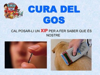 CURA DEL
GOS
CAL POSAR-LI UN XIP PER A FER SABER QUE ÉS
NOSTRE
 