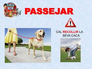 PASSEJAR
CAL RECOLLIR LA
SEVA CACA
 