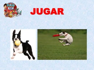 JUGAR
 