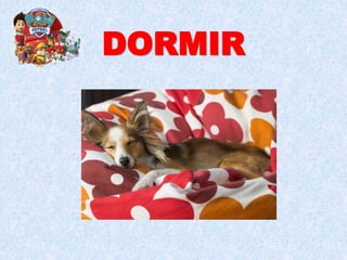 DORMIR
 