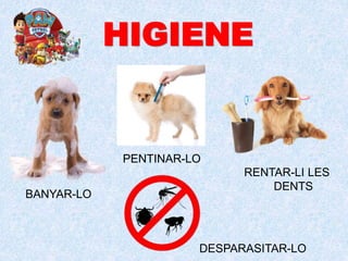 HIGIENE
BANYAR-LO
PENTINAR-LO
RENTAR-LI LES
DENTS
DESPARASITAR-LO
 