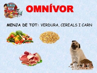 MENJA DE TOT: VERDURA, CEREALS I CARN
OMNÍVOR
 
