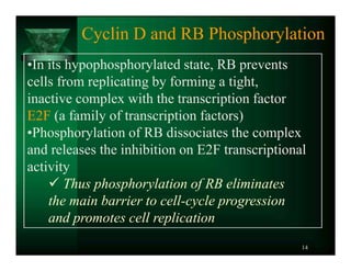 ELGP 21_Molecular basis of cancer.pdf