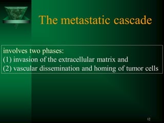 12
involves two phases:
(1) invasion of the extracellular matrix and
(2) vascular dissemination and homing of tumor cells
The metastatic cascade
 
