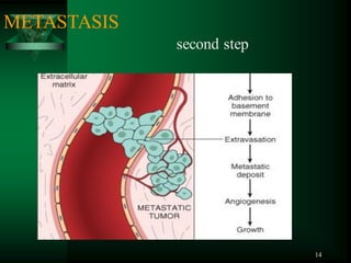 14
METASTASIS
second step
 