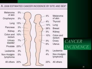 30
CANCER
INCIDENCE
 