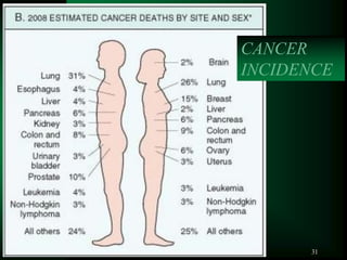 31
CANCER
INCIDENCE
 