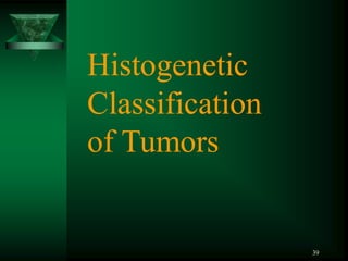 39
Histogenetic
Classification
of Tumors
 