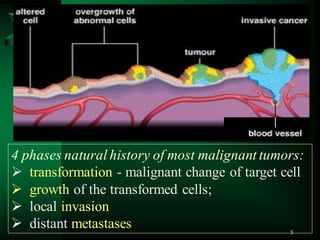 5
4 phases natural history of most malignant tumors:
 transformation - malignant change of target cell
 growth of the transformed cells;
 local invasion
 distant metastases
 