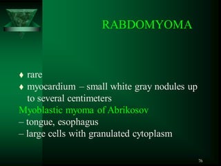 76
 rare
 myocardium – small white gray nodules up
to several centimeters
Myoblastic myoma of Abrikosov
– tongue, esophagus
– large cells with granulated cytoplasm
RABDOMYOMA
 