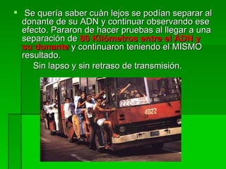 Se quería saber cuàn lejos se podían separar al donante de su ADN y continuar observando ese efecto. Pararon de hacer pruebas al llegar a una separación de  80 Kilómetros entre el ADN y su donante  y continuaron teniendo el MISMO resultado.  Sin lapso y sin retraso de transmisión.  