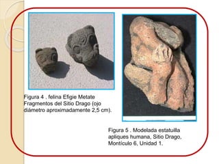 Figura 4 . felina Efigie Metate 
Fragmentos del Sitio Drago (ojo 
diámetro aproximadamente 2,5 cm). 
Figura 5 . Modelada estatuilla 
apliques humana, Sitio Drago, 
Montículo 6, Unidad 1. 
 