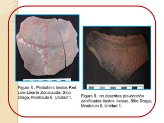 Figura 8 . Probables tiestos Red 
Line Linarte Zonalizada, Sitio 
Drago, Montículo 6, Unidad 1. Figura 9 . no descritas pre-cocción 
zonificadas tiestos incisas, Sitio Drago, 
Montículo 6, Unidad 1. 
