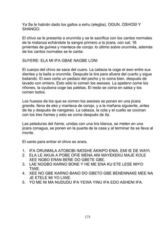 Ya Se le habrán dado los gallos a eshu (elegba), OGUN, OSHOSI Y
SHANGO.
El chivo se le presenta a orunmila y se le sacrifica con los cantos normales
de la matanza echándole la sangre primero a la jicara, con sal, 16
pmientas de guinea y manteca de corojo: lo último sobre orunmila, además
de los cantos normales se le canta:
SUYERE: ELA MI IFA GBAE NAGBE LONI
El cuerpo del chivo se saca del cuaro. La cabeza la coge el awo entre sus
dientes y la baila a orunmila. Después la tira para afuera del cuarto y sigue
bailando. El awo corta un pedazo del pecho y lo coina bien, después de
lavado con omiero. Esto sólo lo comen los awoses. La apetervi come los
riñones, la oyubona coge las paletas. El resto se coina en salsa y los
comen todos.
Los huesos de los que se comen los awoses se ponen en una jicara
grande, llena de eko y manteca de corojo, y a la mañana siguiente, antes
de ita y después de nangareo. La cabeza, la cola y el cuello se cocinan
con los tres ñames y esto se come después de ita.
Las peladuras del ñame, unidas con una tira blanca, se meten en una
jicara conagua, se ponen en la puerta de la casa y al terminar ita se lleva al
monte.
El canto para entrar el chivo es arara.
1. IFA ORUNMILA ATOBOBI IMOSHE AKIKPO ENIA, EMI IE DE WAYI.
2. ELA LE AKUA A POBE OFIE MENA ANI MAYEKEKU MAJE KOLE
XEE NGBO ERAN BEÑE DO GBETE GBE.
3. LAE NOGBO KARNO BONE Y HE ME ENA KU ETE LESE MIYO
TIWE.
4. XEE NO GBE KARNO BANO DO GBETO GBE BENENNAKE MEE NA
JE ETELE MI YO LIWE.
5. YO ME NI MA NUDUDU IFA YEWA YINU IFA EDO ASHENI IFA.
171
 