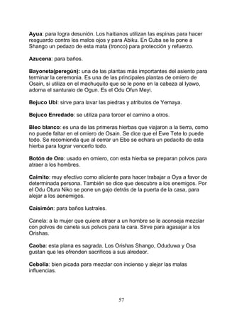 Ayua: para logra desunión. Los haitianos utilizan las espinas para hacer
resguardo contra los malos ojos y para Abiku. En Cuba se le pone a
Shango un pedazo de esta mata (tronco) para protección y refuerzo.
Azucena: para baños.
Bayoneta(peregún): una de las plantas más importantes del asiento para
terminar la ceremonia. Es una de las principales plantas de omiero de
Osain, si utiliza en el machuquito que se le pone en la cabeza al Iyawo,
adorna el santuraio de Ogun. Es el Odu Ofun Meyi.
Bejuco Ubi: sirve para lavar las piedras y atributos de Yemaya.
Bejuco Enredado: se utiliza para torcer el camino a otros.
Bleo blanco: es una de las primeras hierbas que viajaron a la tierra, como
no puede faltar en el omiero de Osain. Se dice que el Ewe Tete lo puede
todo. Se recomienda que al cerrar un Ebo se echara un pedacito de esta
hierba para lograr vencerlo todo.
Botón de Oro: usado en omiero, con esta hierba se preparan polvos para
atraer a los hombres.
Caimito: muy efectivo como aliciente para hacer trabajar a Oya a favor de
determinada persona. También se dice que descubre a los enemigos. Por
el Odu Otura Niko se pone un gajo detrás de la puerta de la casa, para
alejar a los aenemigos.
Caisimón: para baños lustrales.
Canela: a la mujer que quiere atraer a un hombre se le aconseja mezclar
con polvos de canela sus polvos para la cara. Sirve para agasajar a los
Orishas.
Caoba: esta plana es sagrada. Los Orishas Shango, Oduduwa y Osa
gustan que les ofrenden sacrificos a sus alredeor.
Cebolla: bien picada para mezclar con incienso y alejar las malas
influencias.
57
 