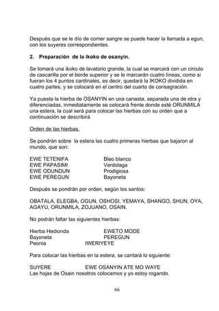 Después que se le dío de comer sangre se puede hacer la llamada a egun,
con los suyeres correspondientes.
2. Preparación de la ikoko de osanyin.
Se tomará una ikoko de lavatorio grande, la cual se marcará con un circulo
de cascarilla por el borde superior y se le marcarán cuatro líneas, como si
fueran los 4 puntos cardinales, es decir, quedará la IKOKO dividida en
cuatro partes, y se colocará en el centro del cuarto de consagración.
Ya puesta la hierba de OSANYIN en una canasta, separada una de otra y
diferenciadas, inmediatamente se colocará frente donde esté ORUNMILA
una estera, la cual será para colocar las hierbas con su orden que a
continuación se describirá
Orden de las hierbas.
Se pondrán sobre la estera las cuatro primeras hierbas que bajaron al
mundo, que son:
EWE TETENIFA Bleo blanco
EWE PAPASIMI Verdolaga
EWE ODUNDUN Prodigiosa
EWE PEREGUN Bayoneta
Después se pondrán por orden, según los santos:
OBATALA, ELEGBA, OGUN, OSHOSI, YEMAYA, SHANGO, SHUN, OYA,
AGAYU, ORUNMILA, ZOJUANO, OSAIN.
No podrán faltar las siguientes hierbas:
Hierba Hedionda EWETO MODE
Bayoneta PEREGUN
Peonia IWERIYEYE
Para colocar las hierbas en la estera, se cantará lo siguiente:
SUYERE EWE OSANYIN ATE MO WAYE
Las hojas de Osain nosotros colocamos y yo estoy rogando.
66
 