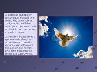 Si tú deseas participar en esta aventura más allá de ti mismo, hay un cambio de configuración que debes hacer, para conectarte con la amplitud de onda que incluye a toda la creación.  La nueva configuración es la apertura hacia el espíritu, reconectarse con nuestra verdadera naturaleza como seres de luz, que además sirve como frecuencia de acceso a la supervivencia.  