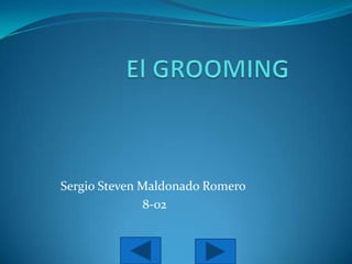 Sergio Steven Maldonado Romero
8-02

 