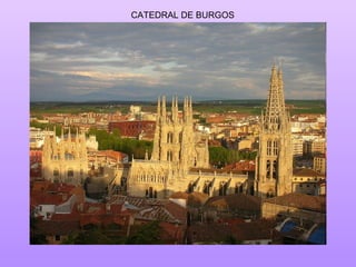 CATEDRAL DE BURGOS 