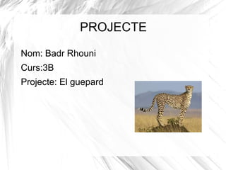 PROJECTE Nom: Badr Rhouni 