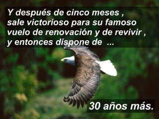 Y después de cinco meses ,  sale victorioso para su famoso vuelo de renovación y de revivir ,  y entonces dispone de  ... 30 años más. 