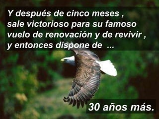 Y después de cinco meses ,  sale victorioso para su famoso vuelo de renovación y de revivir ,  y entonces dispone de  ... 30 años más. 