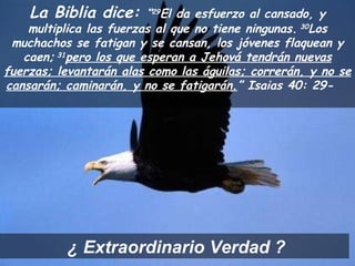 La Biblia dice:   “ 29 El da esfuerzo al cansado, y multiplica las fuerzas al que no tiene ningunas.  30 Los muchachos se fatigan y se cansan, los jóvenes flaquean y caen;  31 pero los que esperan a Jehová tendrán nuevas fuerzas; levantarán alas como las águilas; correrán, y no se cansarán; caminarán, y no se fatigarán. ” Isaias 40: 29-  ¿  Extraordinario Verdad  ? 