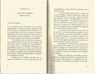 El águila Que Quería Ser Aguila - Juan Carlos Roca Vázquez-