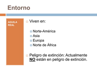 Entorno

AGUILA REAL   Viven en:

                Norte-América
                Asia
                Europa
                Norte de África

              Peligro de extinción: Actualmente NO
              están en peligro de extinción.
 