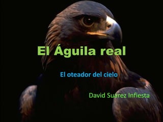 El Águila real
   El oteador del cielo

            David Suárez Infiesta
 