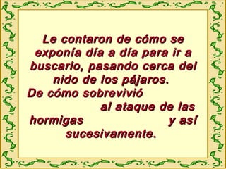 Le contaron de cómo seLe contaron de cómo se
exponía día a día para ir aexponía día a día para ir a
buscarlo, pasando cerca delbuscarlo, pasando cerca del
nido de los pájaros.nido de los pájaros.
De cómo sobrevivióDe cómo sobrevivió
al ataque de lasal ataque de las
hormigas y asíhormigas y así
sucesivamente.sucesivamente.
 