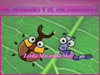EL GUSANO Y EL ESCARABAJO Zaida Miranda May 