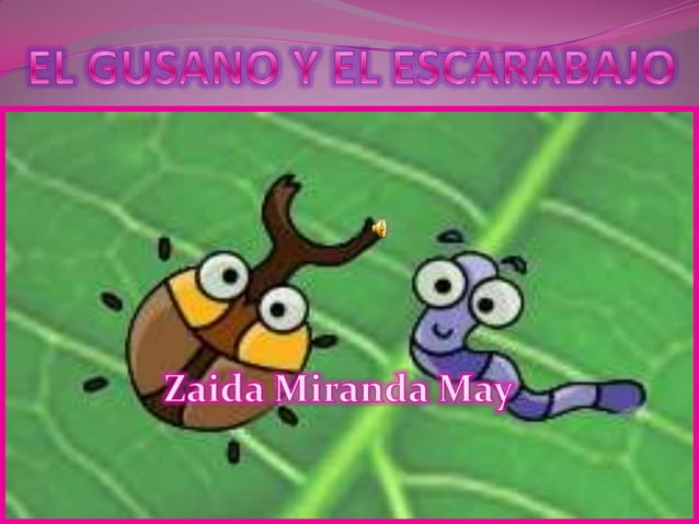 El gusano y el escarabajo | PPT