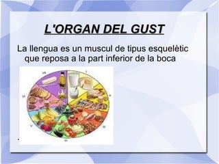 L'ORGAN DEL GUSTL'ORGAN DEL GUST
La llengua es un muscul de tipus esquelètic
que reposa a la part inferior de la boca
.
 