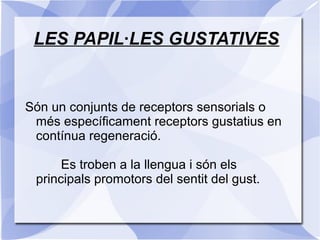 LES PAPIL·LES GUSTATIVES
Són un conjunts de receptors sensorials o
més específicament receptors gustatius en
contínua regeneració.
Es troben a la llengua i són els
principals promotors del sentit del gust.
 
