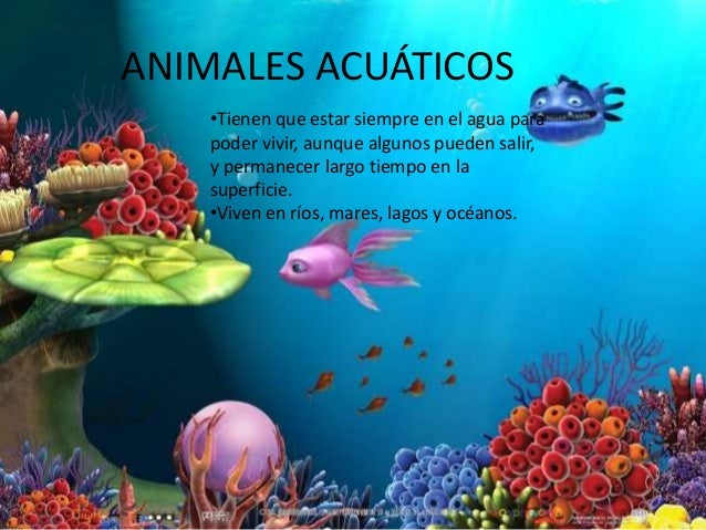 El habitat de los animales