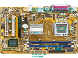 Conectores traseros (puerto serie, puerto paralelo,
                                    usb, rj45 Lan, conectores de sonido line in,on,mic)


                Ranura AGP
                Ranura AGP
  Ranuras PCI


                                                                  Zocalo del
                             pila                                 procesador
                                      chipset




       BIOS
                                                 Conectores memoria ddr
Puertos SATA

                                     Alimentacion de
                                     la placa base
 