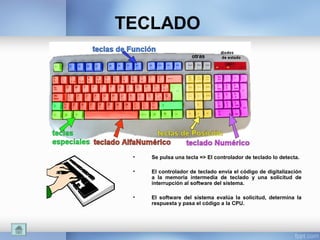 TECLADO
• Se pulsa una tecla => El controlador de teclado lo detecta.
• El controlador de teclado envía el código de digitalización
a la memoria intermedia de teclado y una solicitud de
interrupción al software del sistema.
• El software del sistema evalúa la solicitud, determina la
respuesta y pasa el código a la CPU.
 