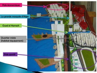 Pole économique
La grande mosquée d’Alger
Oued el Harrach
Pole sportif
Quartier mixte
(habitat-équipement)
 