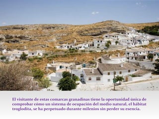 El visitante de estas comarcas granadinas tiene la oportunidad única de
comprobar cómo un sistema de ocupación del medio natural, el hábitat
troglodita, se ha perpetuado durante milenios sin perder su esencia.

 