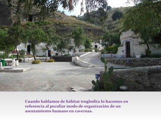 Cuando hablamos de hábitat troglodita lo hacemos en
referencia al peculiar modo de organización de un
asentamiento humano en cavernas.

 