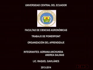 UNIVERSIDAD CENTRAL DEL ECUADOR
FACULTAD DE CIENCIAS AGRONÓMICAS
TRABAJO DE POWERPOINT
ORGANIZACIÓN DEL APRENDIZAJE
INTEGRANTES: ADRIANA ANCHUNDIA
ANDREA SALINAS
LIC. RAQUEL GAVILÁNES
2013-2014
 