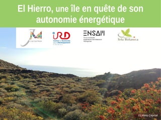 El Hierro, une île en quête de son
autonomie énergétique
©Lelany Capmal
 