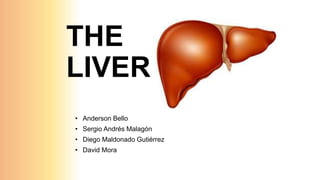 THE
LIVER
• Anderson Bello
• Sergio Andrés Malagón
• Diego Maldonado Gutiérrez
• David Mora
 