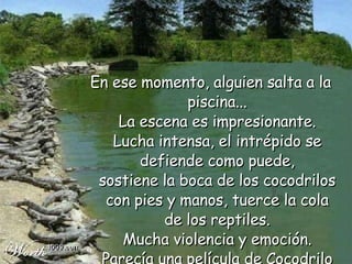 En ese momento, alguien salta a la piscina... La escena es impresionante. Lucha intensa, el intrépido se defiende como puede, sostiene la boca de los cocodrilos con pies y manos, tuerce la cola de los reptiles. Mucha violencia y emoción. Parecía una película de Cocodrilo Dundee !  