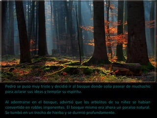 Pedro se puso muy triste y decidió ir al bosque donde solía pasear de muchacho
para aclarar sus ideas y templar su espíritu.
Al adentrarse en el bosque, advirtió que los arbolitos de su niñez se habían
convertido en robles imponentes. El bosque mismo era ahora un paraíso natural.
Se tumbó en un trecho de hierba y se durmió profundamente.
 